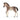 Puledro andaluso