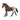 Appaloosa Stute