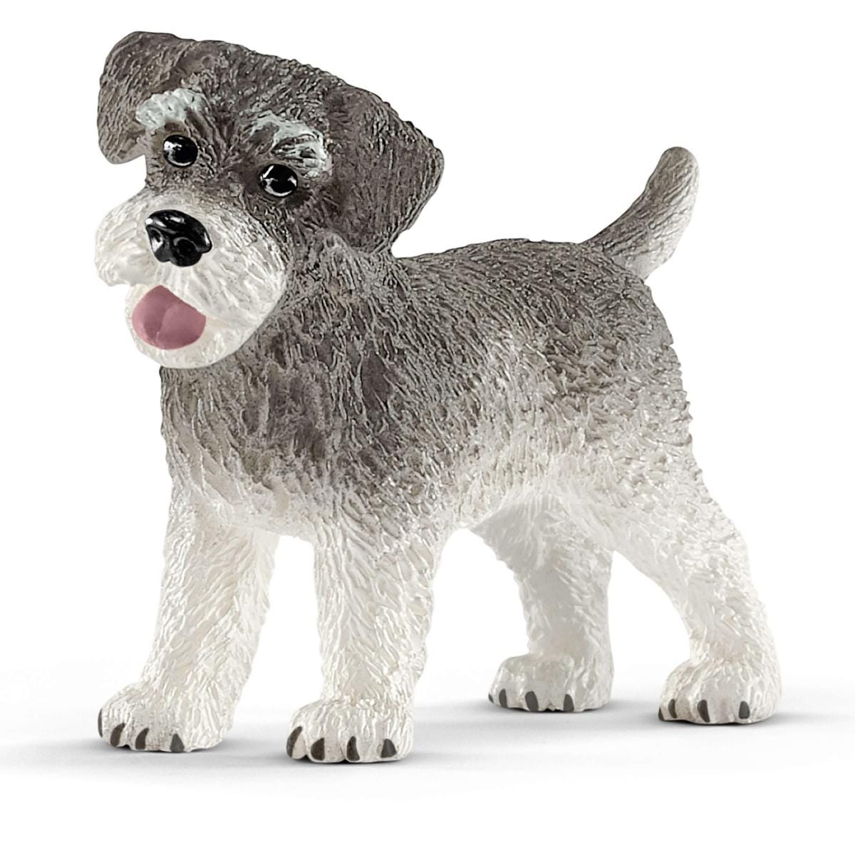 Zwergschnauzer