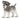 Zwergschnauzer