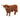 Highland Bull