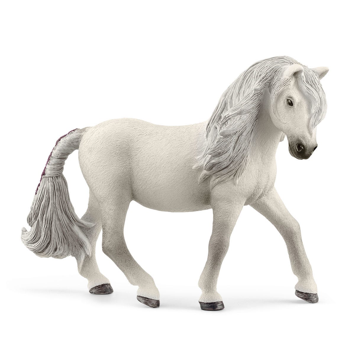 Giumenta di pony islandese