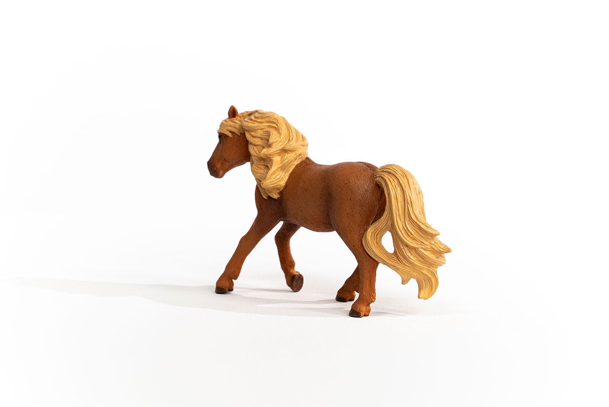 Island Pony Hengst