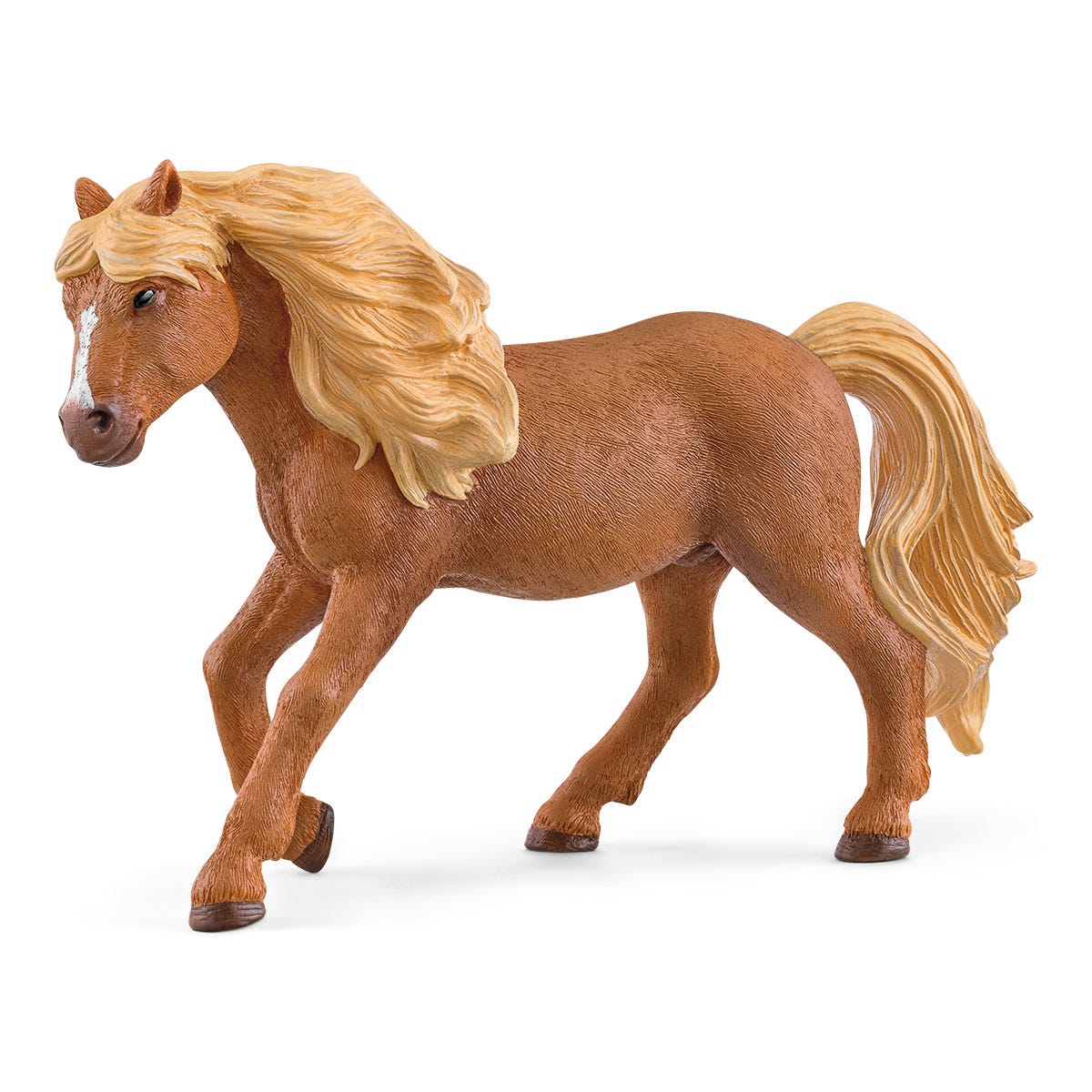 Island Pony Hengst