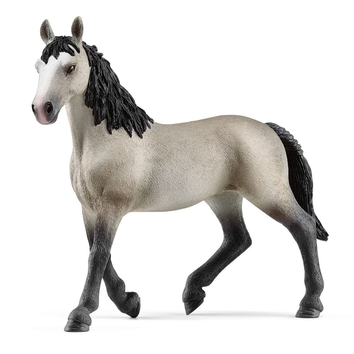 Giumenta Cheval de Selle Francais