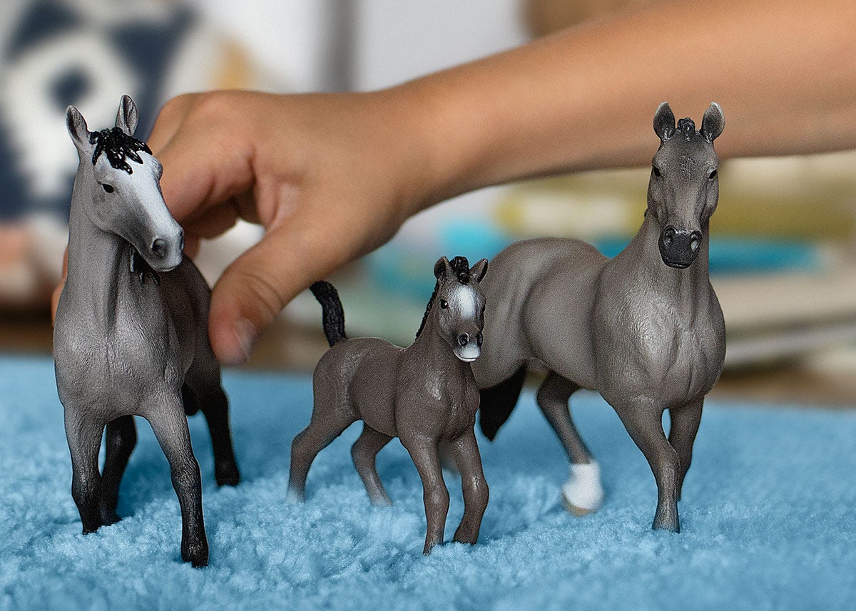 Stallone Cheval de Selle Francais