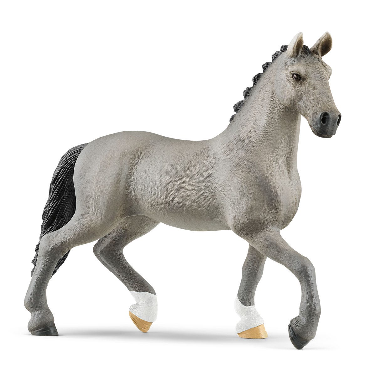Stallone Cheval de Selle Francais