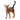 Gatto abissino