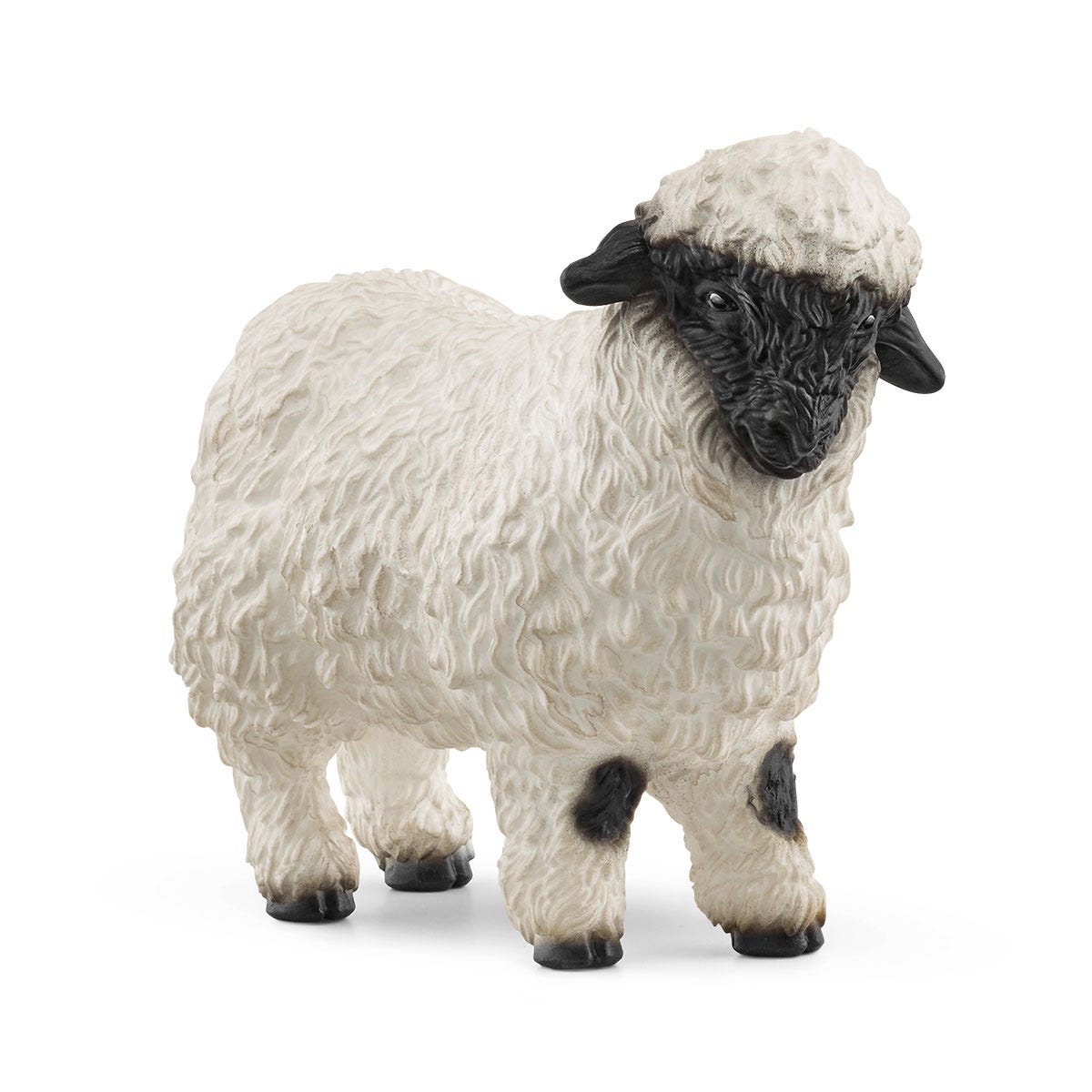 Mouton Nez Noir