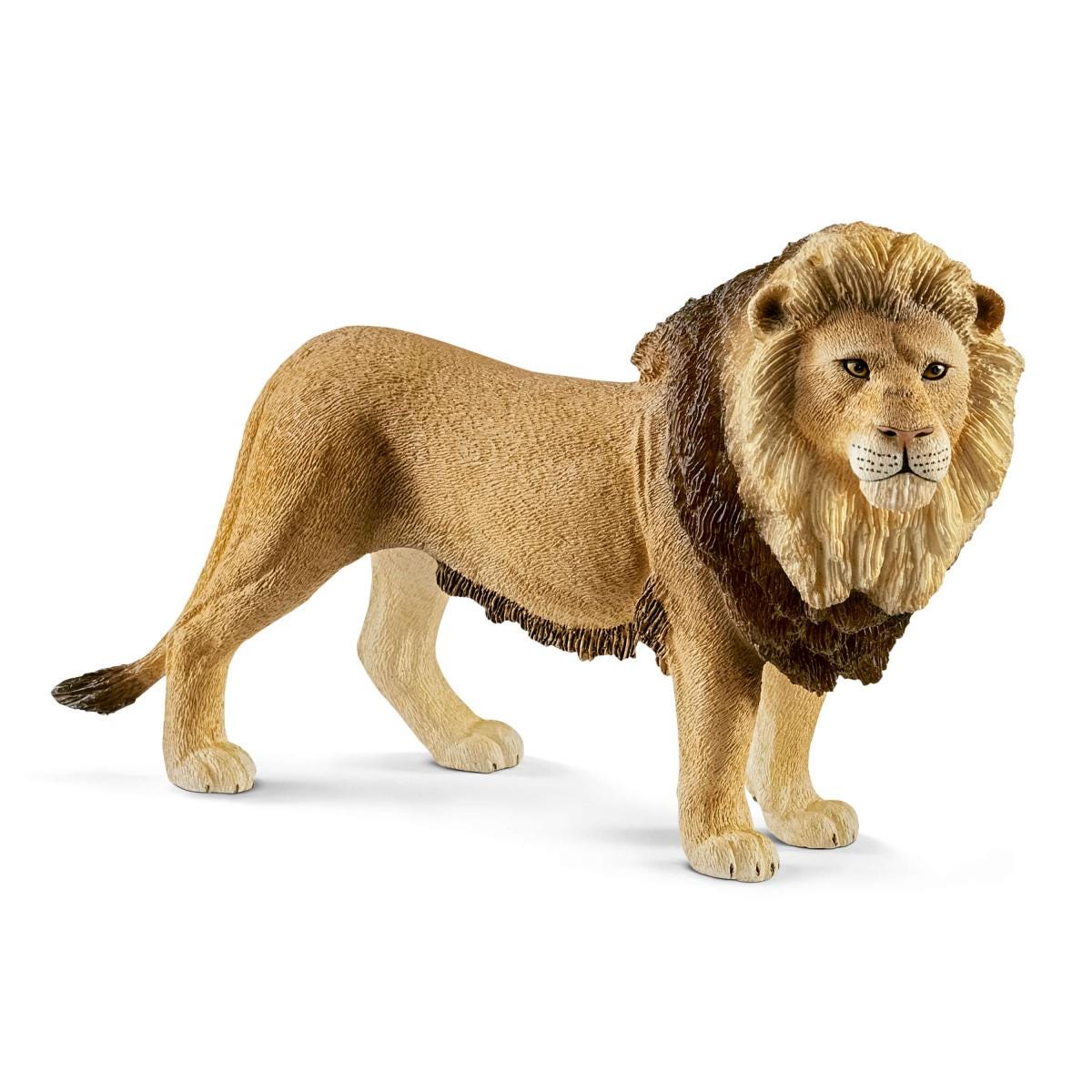 Leone
