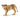 Lionne