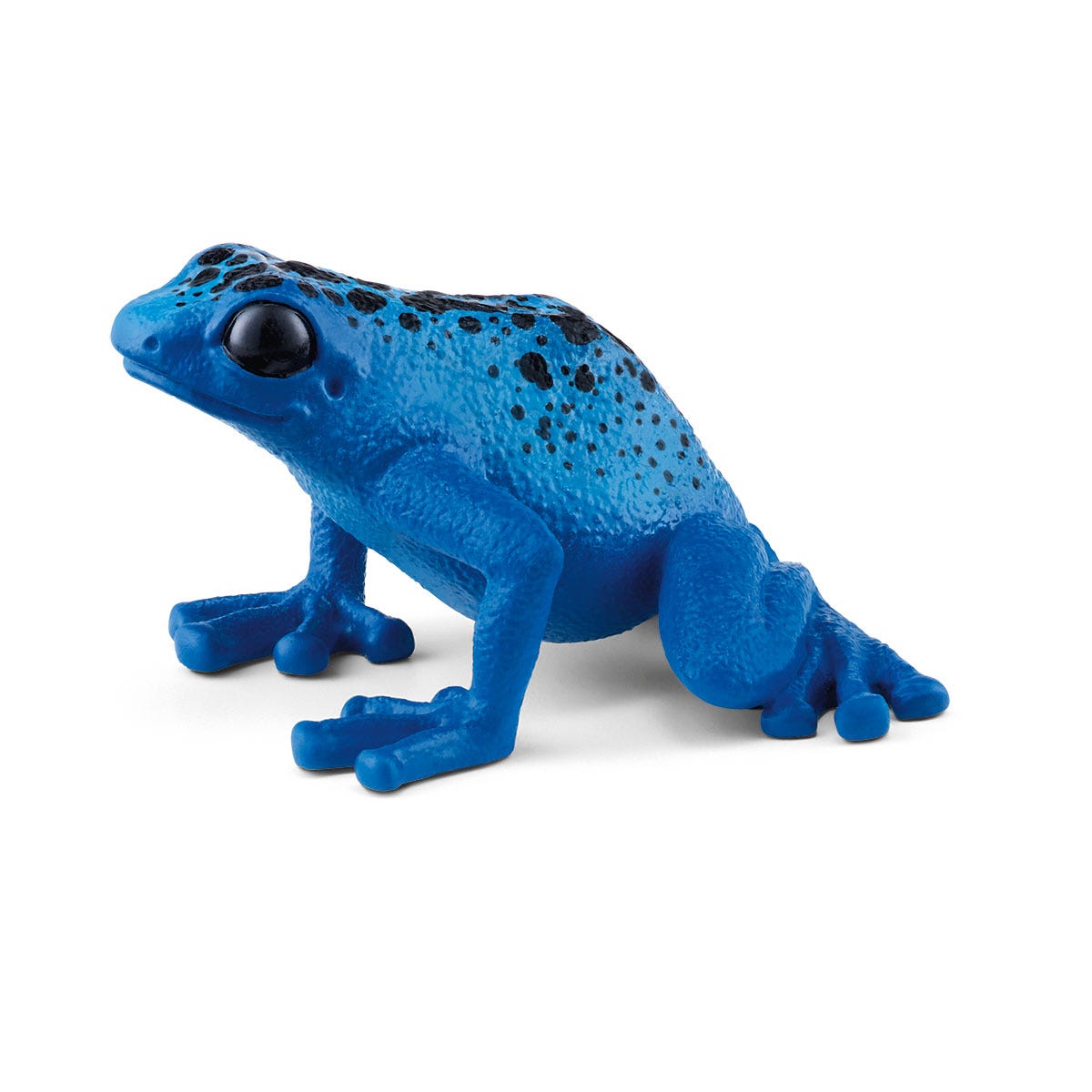 Grenouille Dendrobate