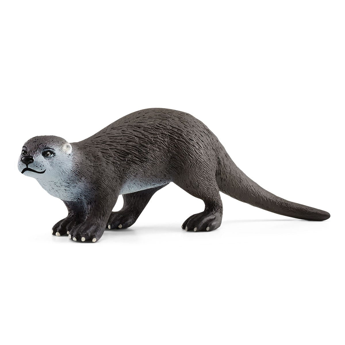 Loutre