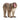 Japanese Macaque
