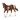 Jument Paint Horse