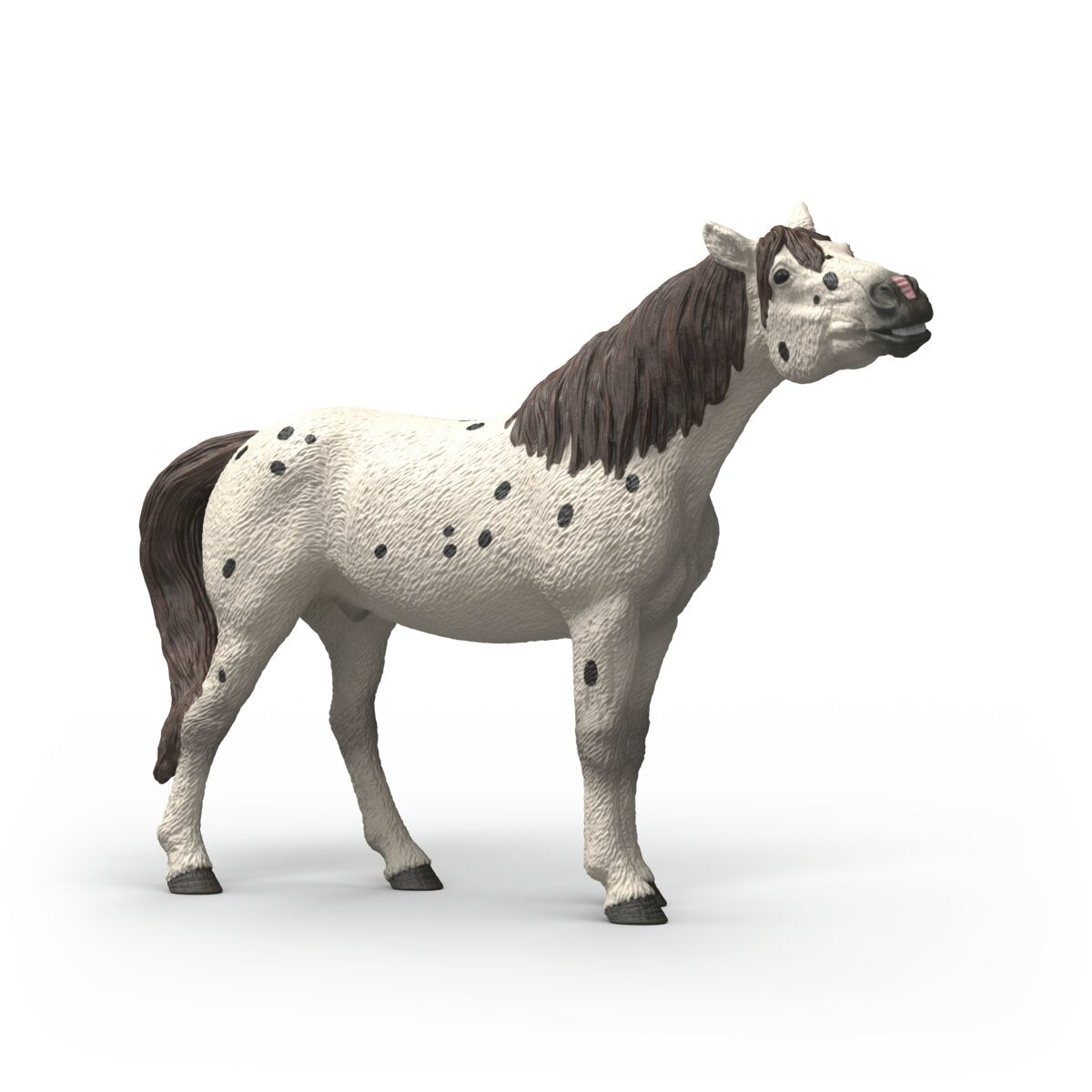 Cheval hongre knabstrupper