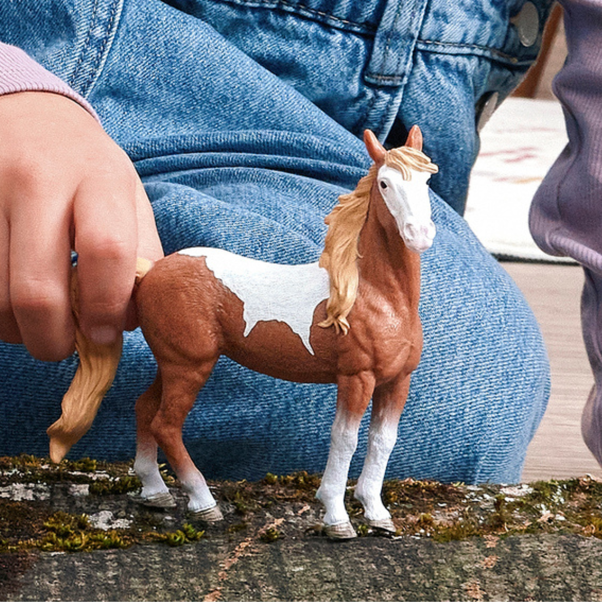 Mustang Stute