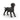 Labrador Retriever femelle noir