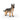 Berger allemand femelle
