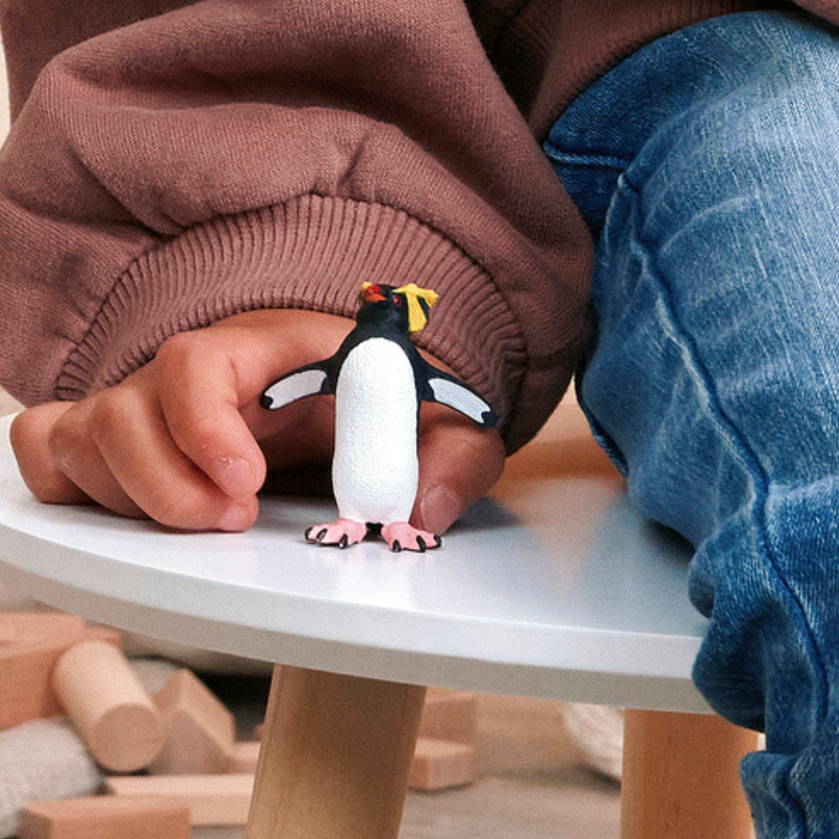 Pinguino saltarocce