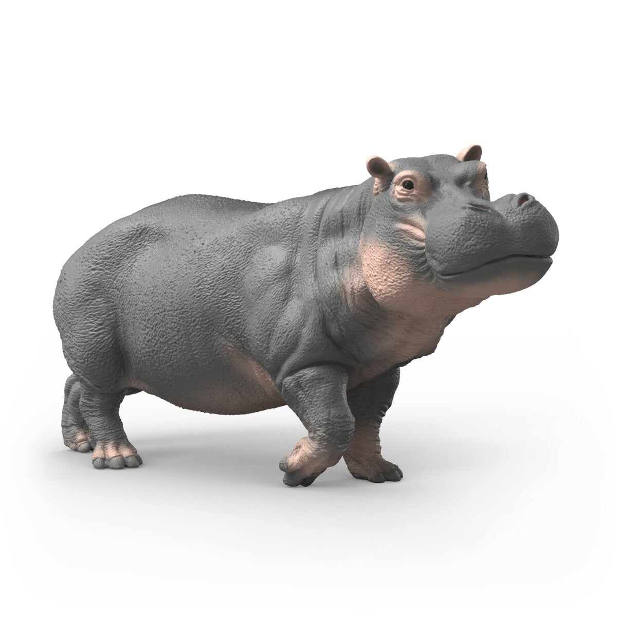 Ippopotamo