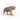 Säbelzahntiger
