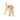 Golden Retriever Welpe