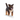 Schäferhund Welpe