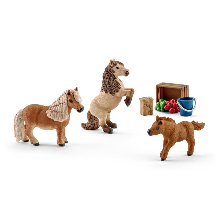 Famille de mini-shetlands