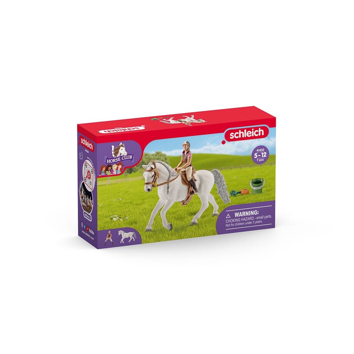 Reiterin mit Lipizzaner Stute