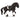 Friese Hengst Reitturnier