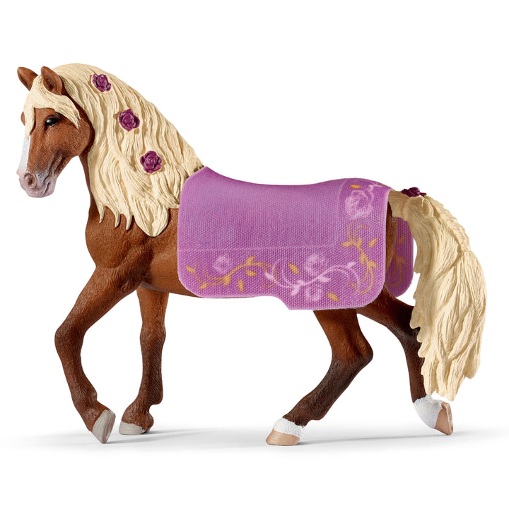 Étalon Paso Fino Spectacle équestre