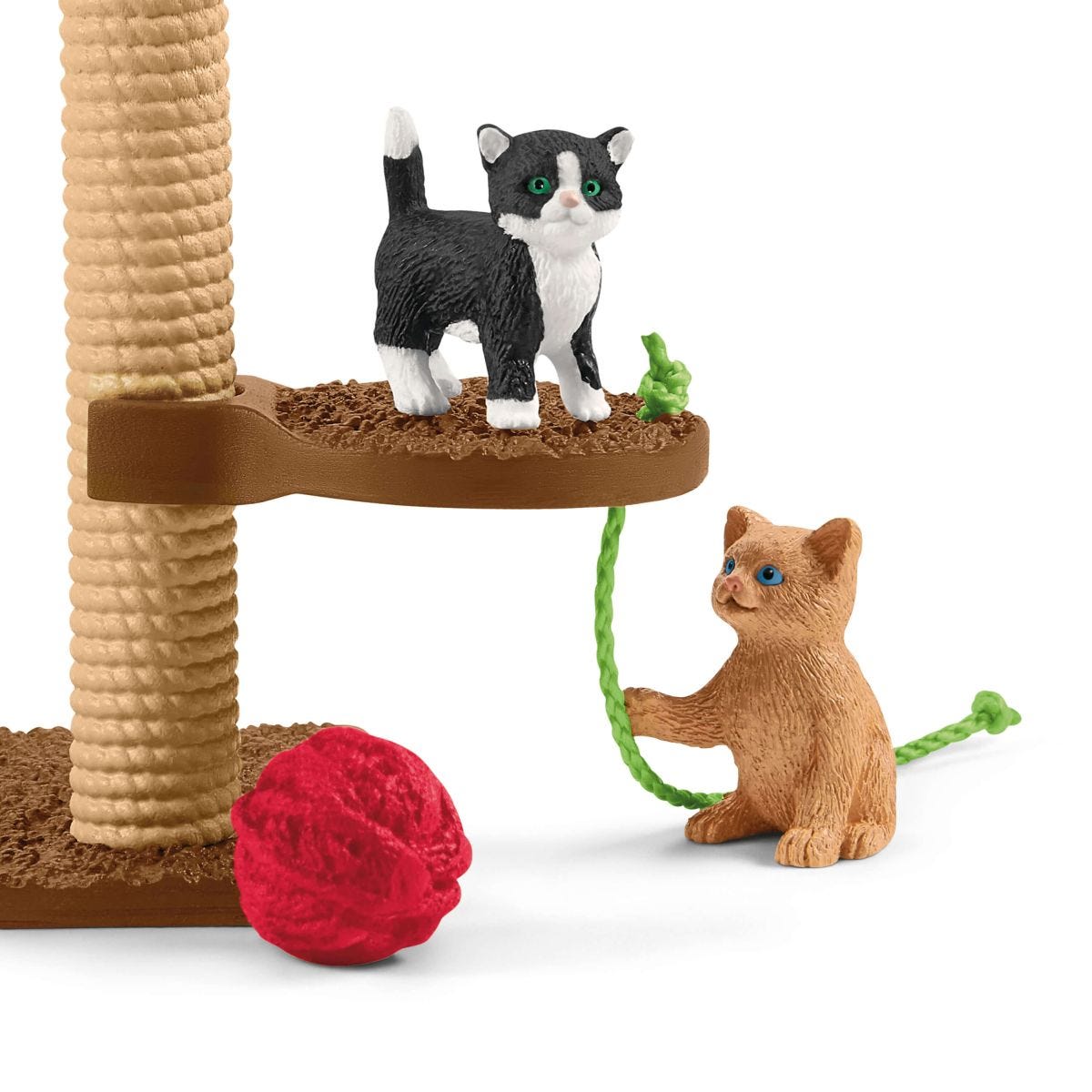 Aire de jeu pour chats adorables