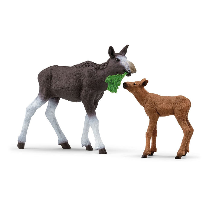 Élan Femelle avec Veau 