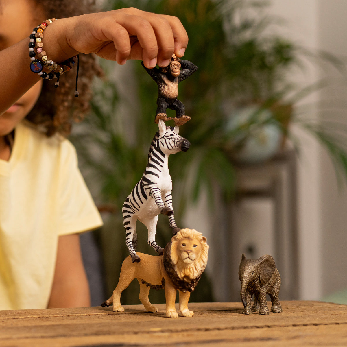 Starter Set Wild Life Africa