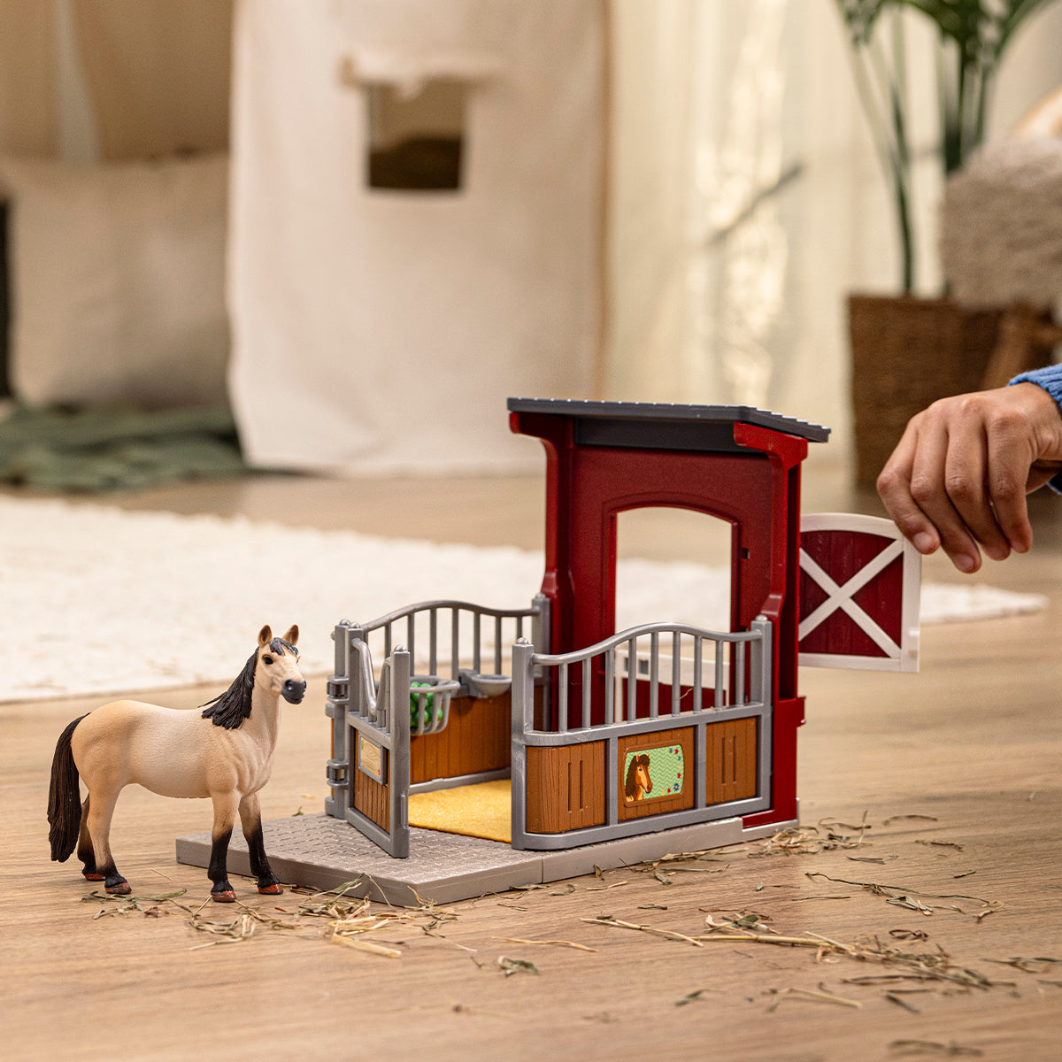 Ponybox mit Islandpferd Hengst