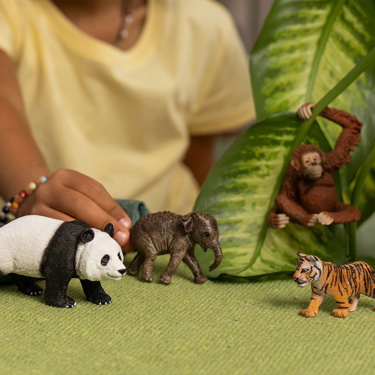 Wild Life Asien Starter-Set