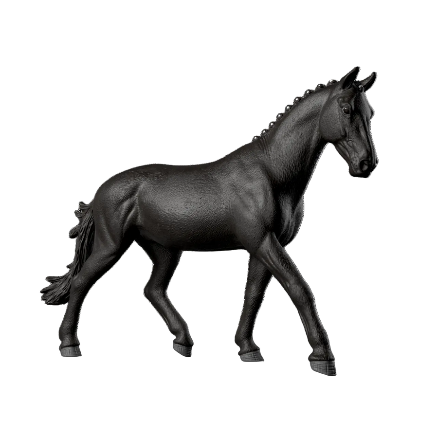 Sonata, Giumenta Trakehner 1:12
