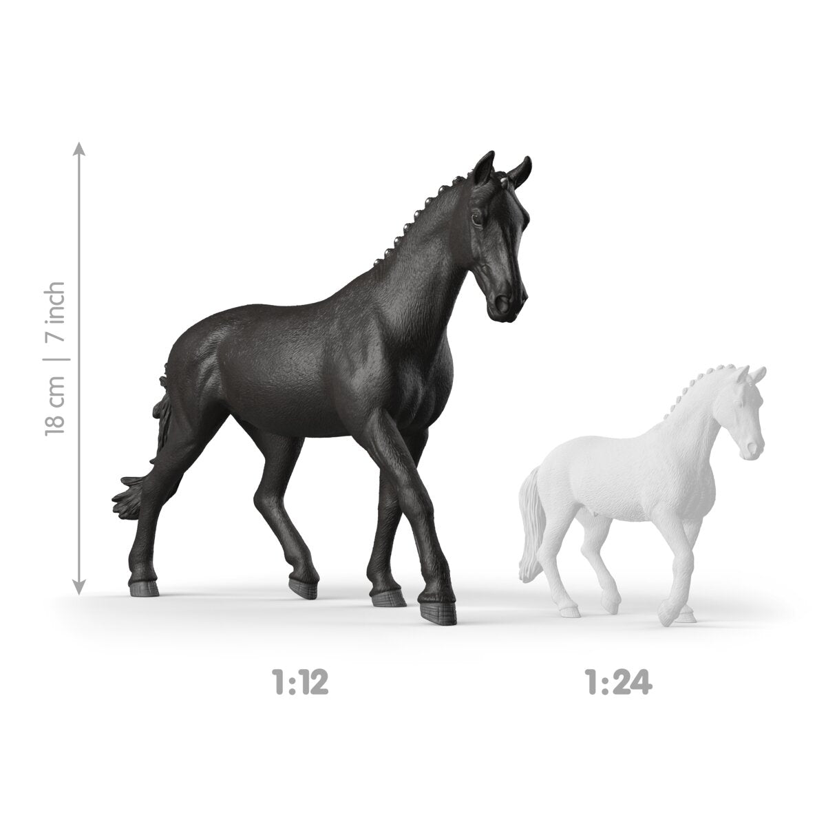 Sonata, Giumenta Trakehner 1:12