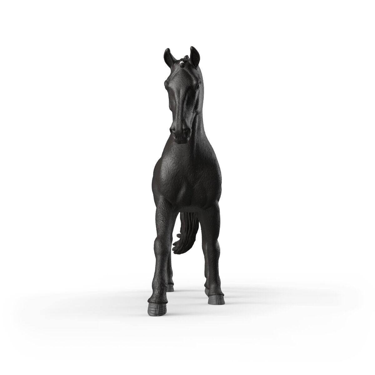 Sonata, Giumenta Trakehner 1:12