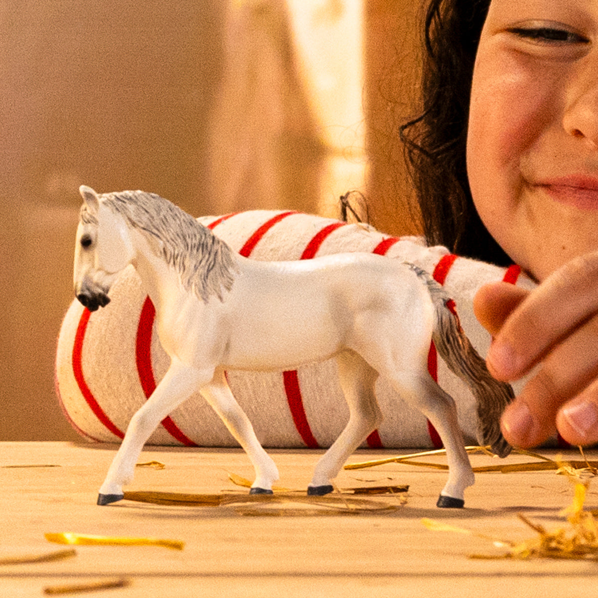 Hongre Lipizzan