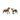 Horse Club Paso Peruano Starter Set