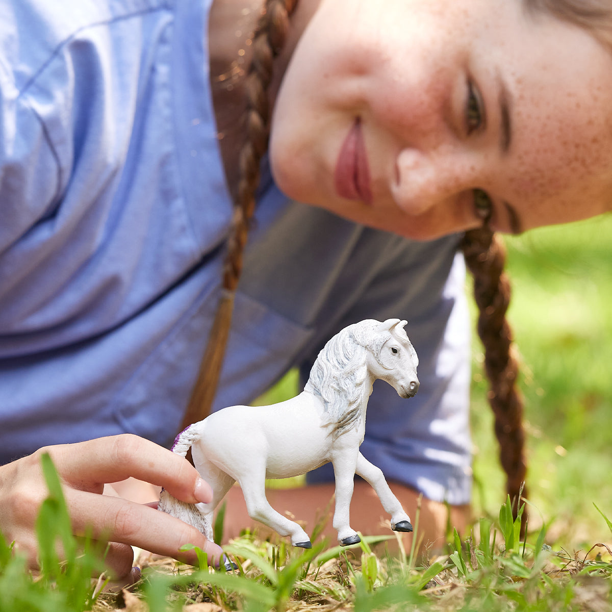 Giumenta di pony islandese